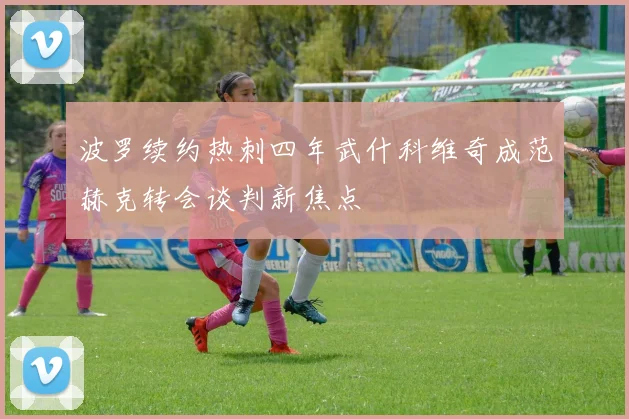 波罗续约热刺四年武什科维奇成范赫克转会谈判新焦点