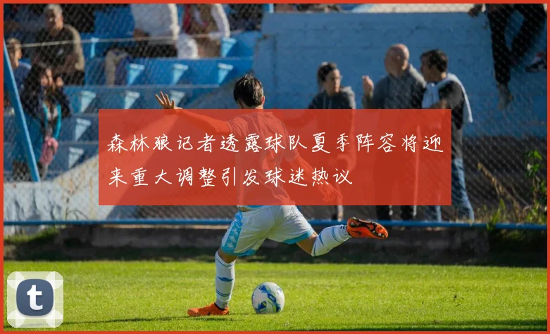 森林狼记者透露球队夏季阵容将迎来重大调整引发球迷热议